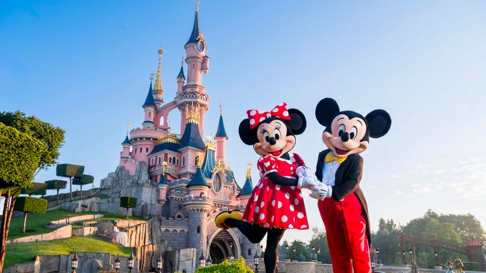Full Day at Disneyland (Only Tickets)