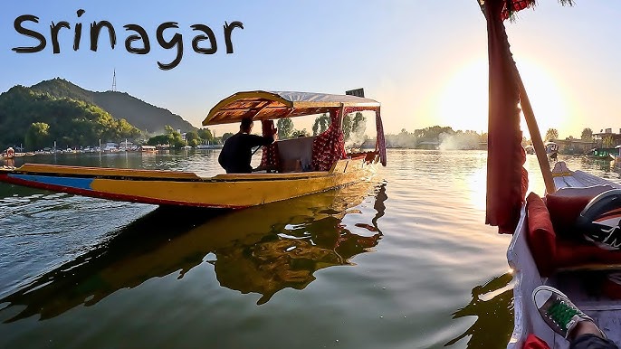 Arrival in Srinagar – Mughal Gardens & Shikara Ride