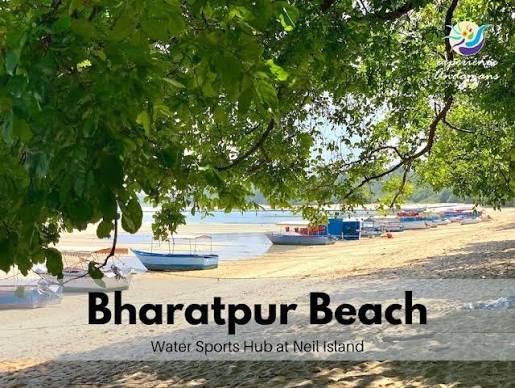 Neil island(Bharatpur Beach)-Port Blair