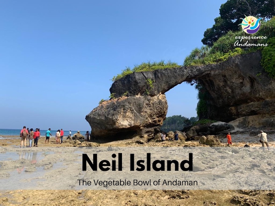 Havelock Island –Neil Island (Sitapur Beach & Lakshmanpur Beach)