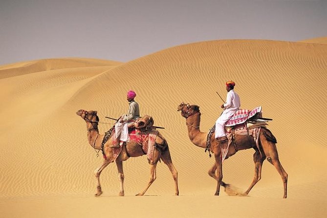 Jaisalmer Sightseeing & Desert Experience