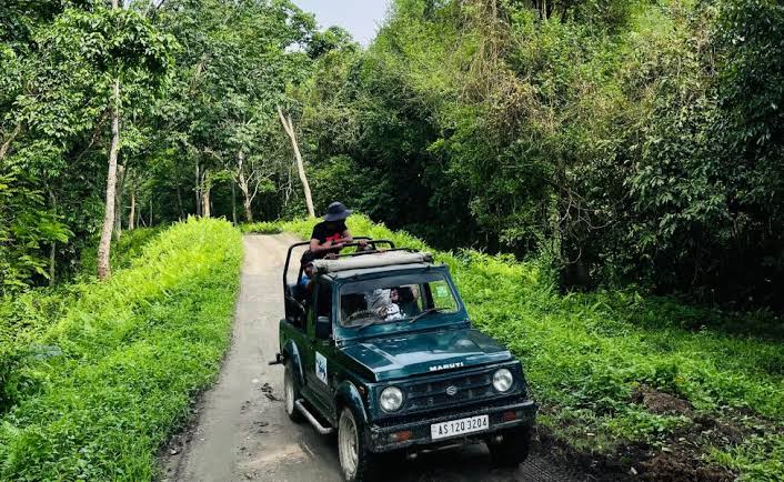 Kaziranga Safari & Sightseeing