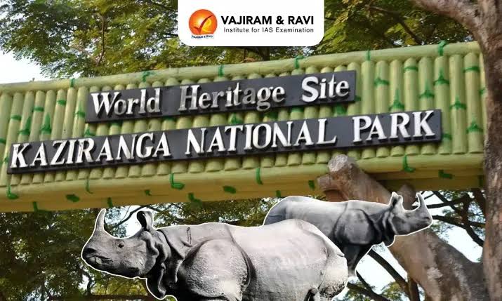 Guwahati – Kaziranga National Park (Approx. 220 km | 4.5–5 hrs)