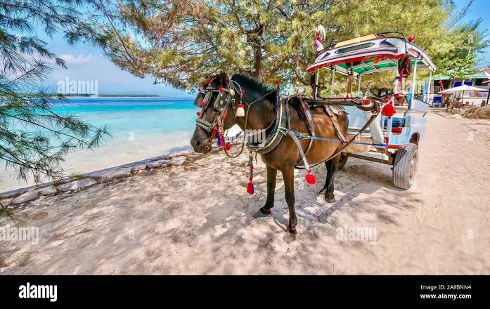 After breakfast, enjoy a comfortable transfer from Gili to Ubud. A traditional Cidomo (horse cart) ride is included to take you from your hotel to the Gili harbor, followed by your boat and land transfers to the cultural heart of Bali, where you can relax and enjoy the peaceful surroundings of Ubud.