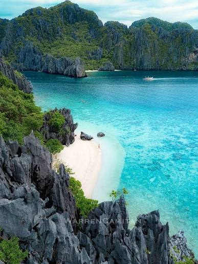 TRANSFER TO EL NIDO